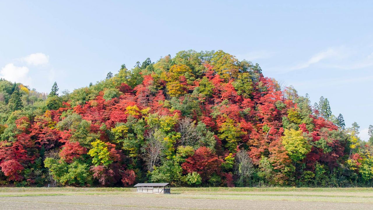 かまくらライド2025 イメージ